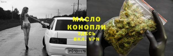 прущие грибы Медногорск