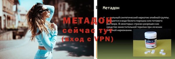 стаф Алексин