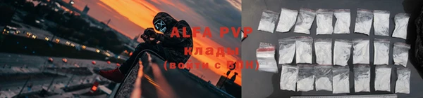 стаф Алексин