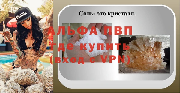 стаф Алексин